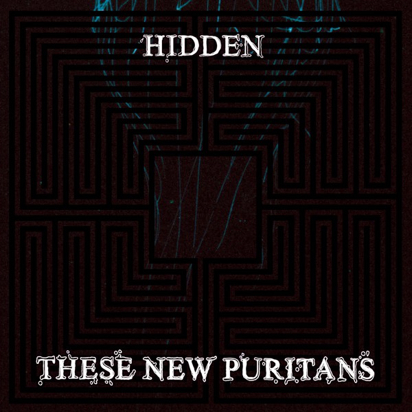 These New Puritans: Hidden (2010)